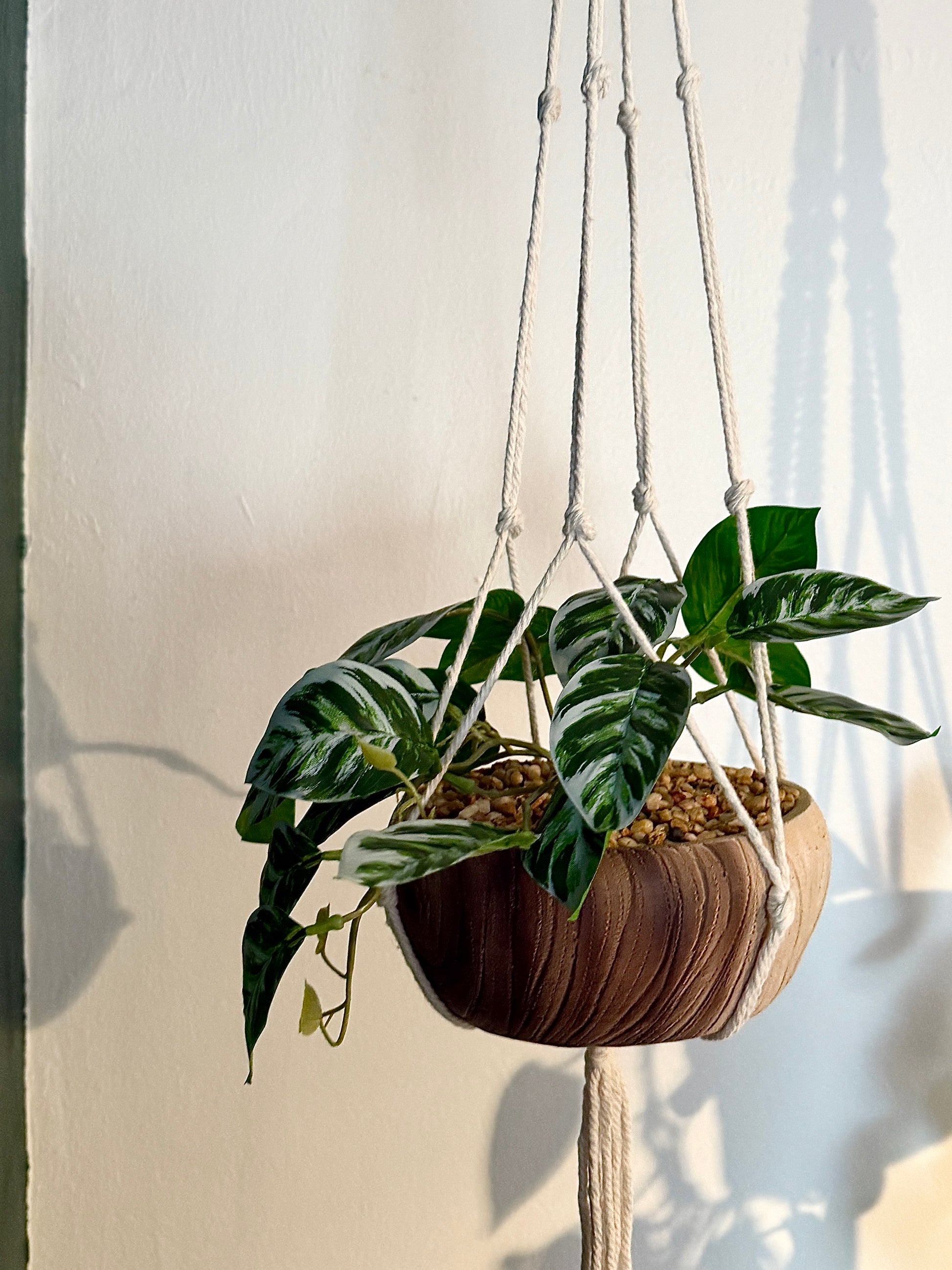 Back view of the Plantish artificial Pothos, highlighting the trailing vines, ceramic planter, and macrame hanger.