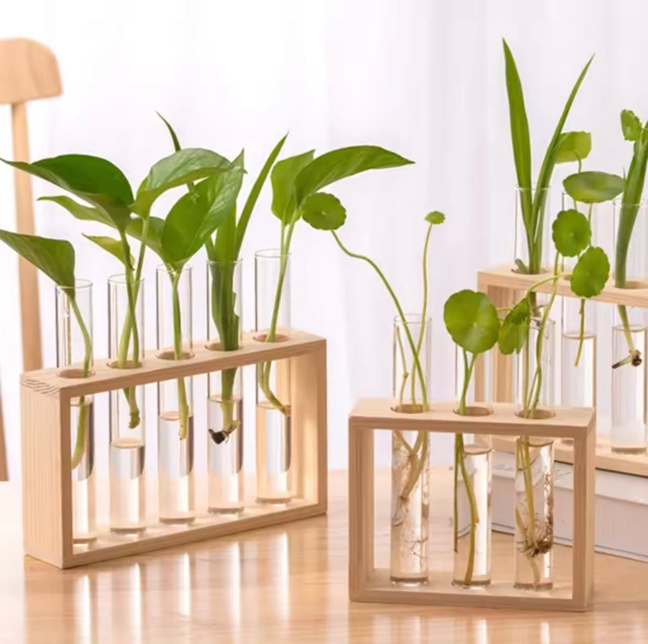 The Plantish Plant Propagation Test Tubes shown in both sizes, full of green plant cuttings and placed on a sunlit wood table. 