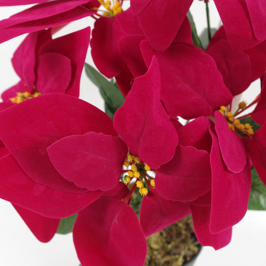 A close up of the Plantish Prancer the Artificial Red Poinsettia. The velvet-soft red petals, yellow flowers and silk green leaves are shown in detail.
