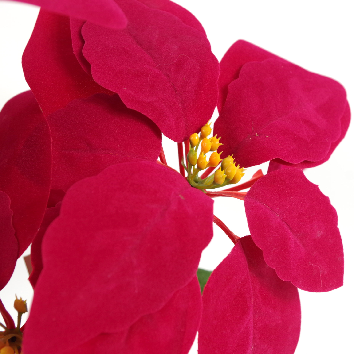 A close up of the Plantish Prancer the Artificial Red Poinsettia, showing the velvet-soft red petals and yellow flowers in great detail.