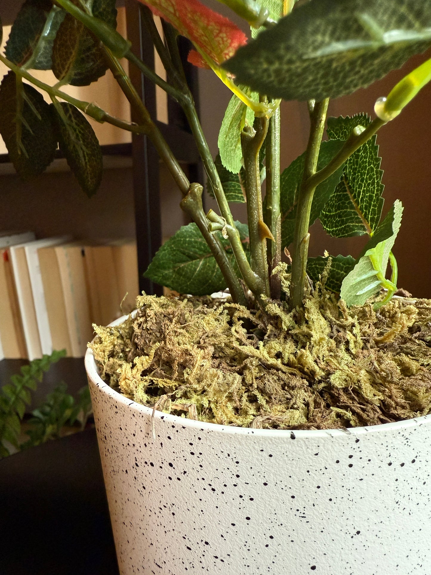 Close up of the base of the Plantish artificial rose, focusing on the realistic green stems with detailed thorns, and the white pot topped with moss.