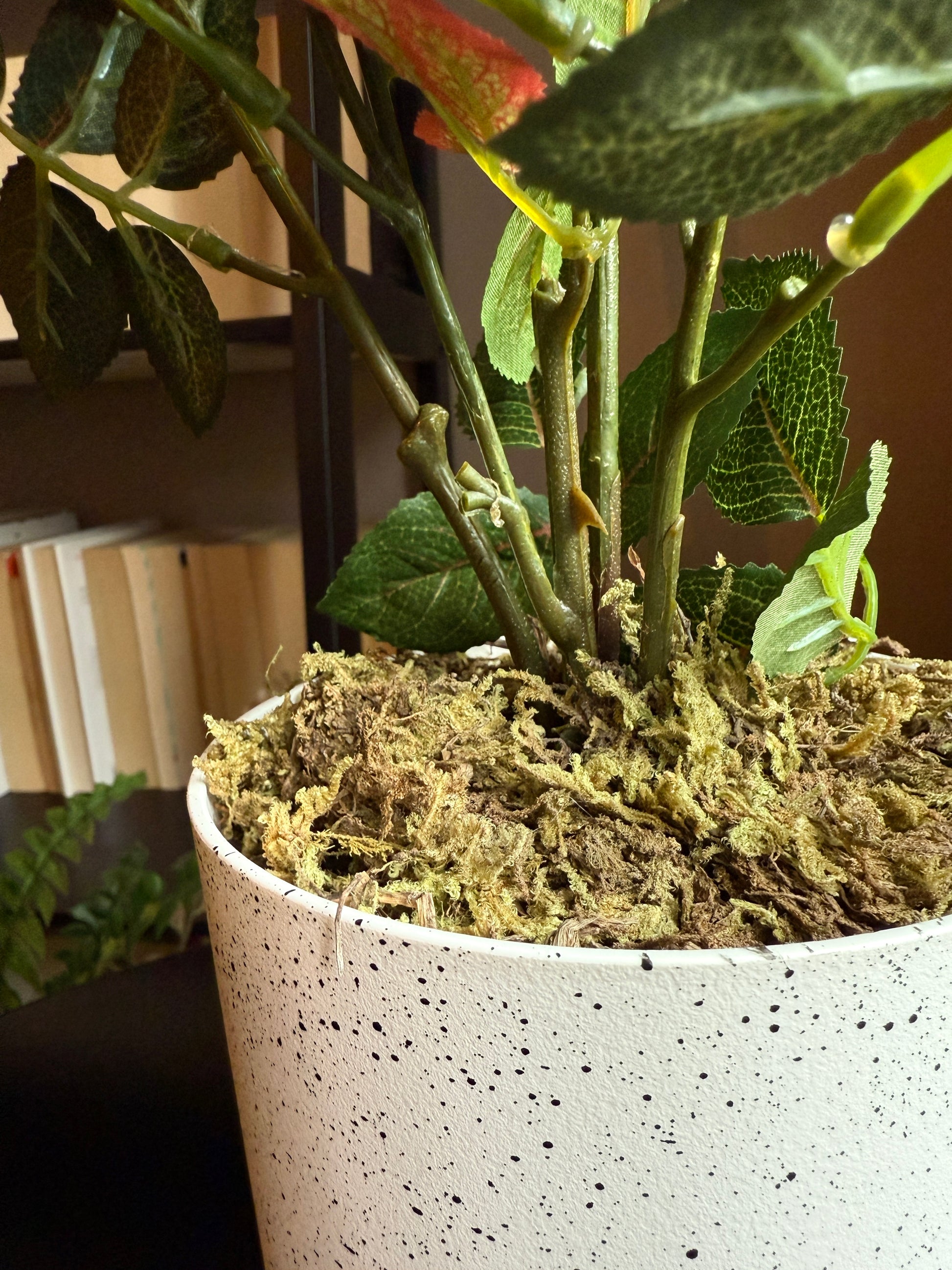 Close up of the base of the Plantish artificial rose, focusing on the realistic green stems with detailed thorns, and the white pot topped with moss.