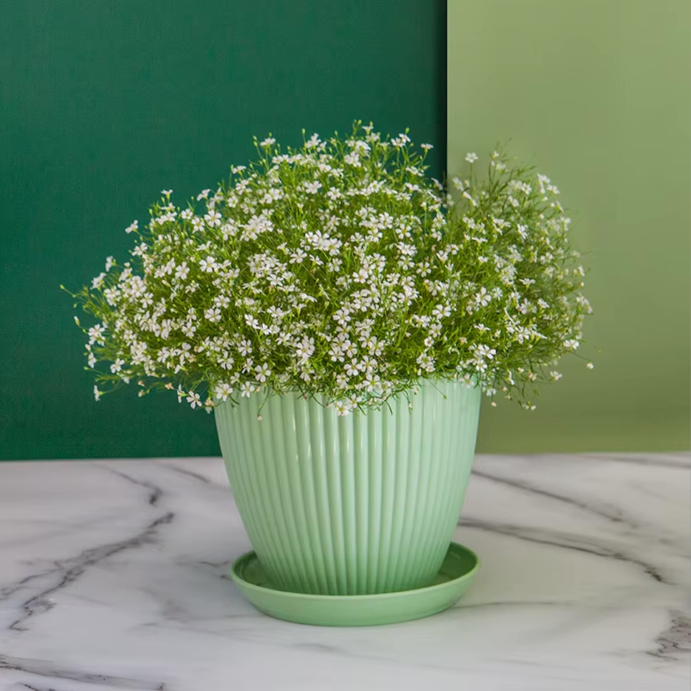 An image of the Plantish Ridged Plastic Planter in Mint with flower in it, on a white marble table with a two toned green wall in the background.