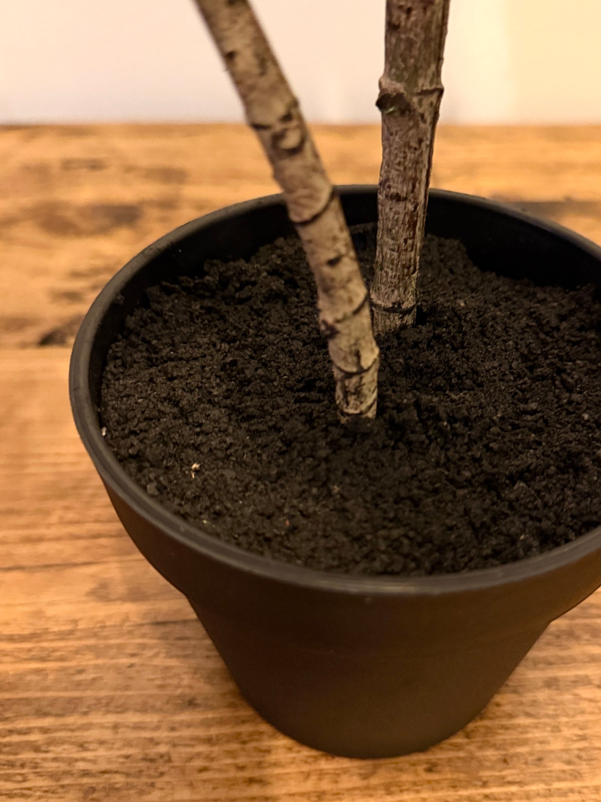Close-up of the base of the Plantish artificial rubber plant, highlighting the lifelike textured stem and the black pot featuring a realistic soil finish.