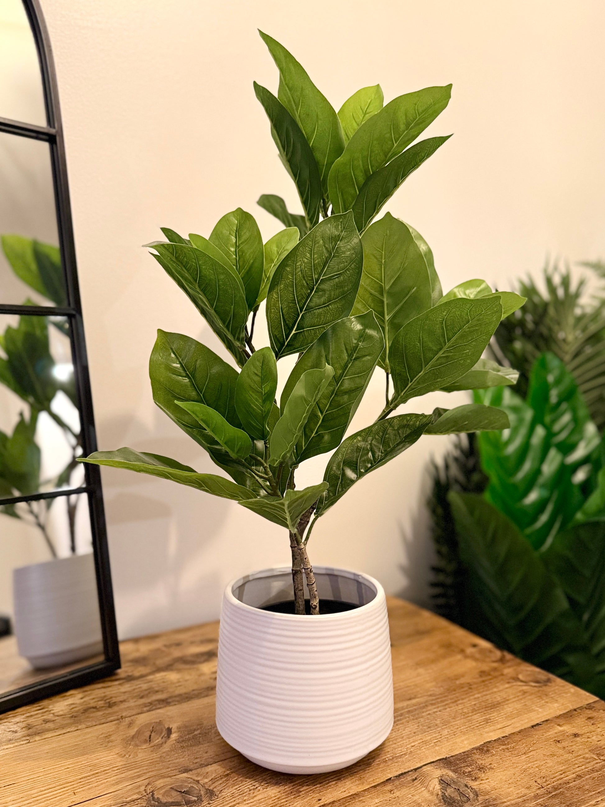 Front view of the Plantish artificial rubber plant, featuring glossy, deep green leaves and potted in a white ridged ceramic pot. The plant is placed on a wooden table. 