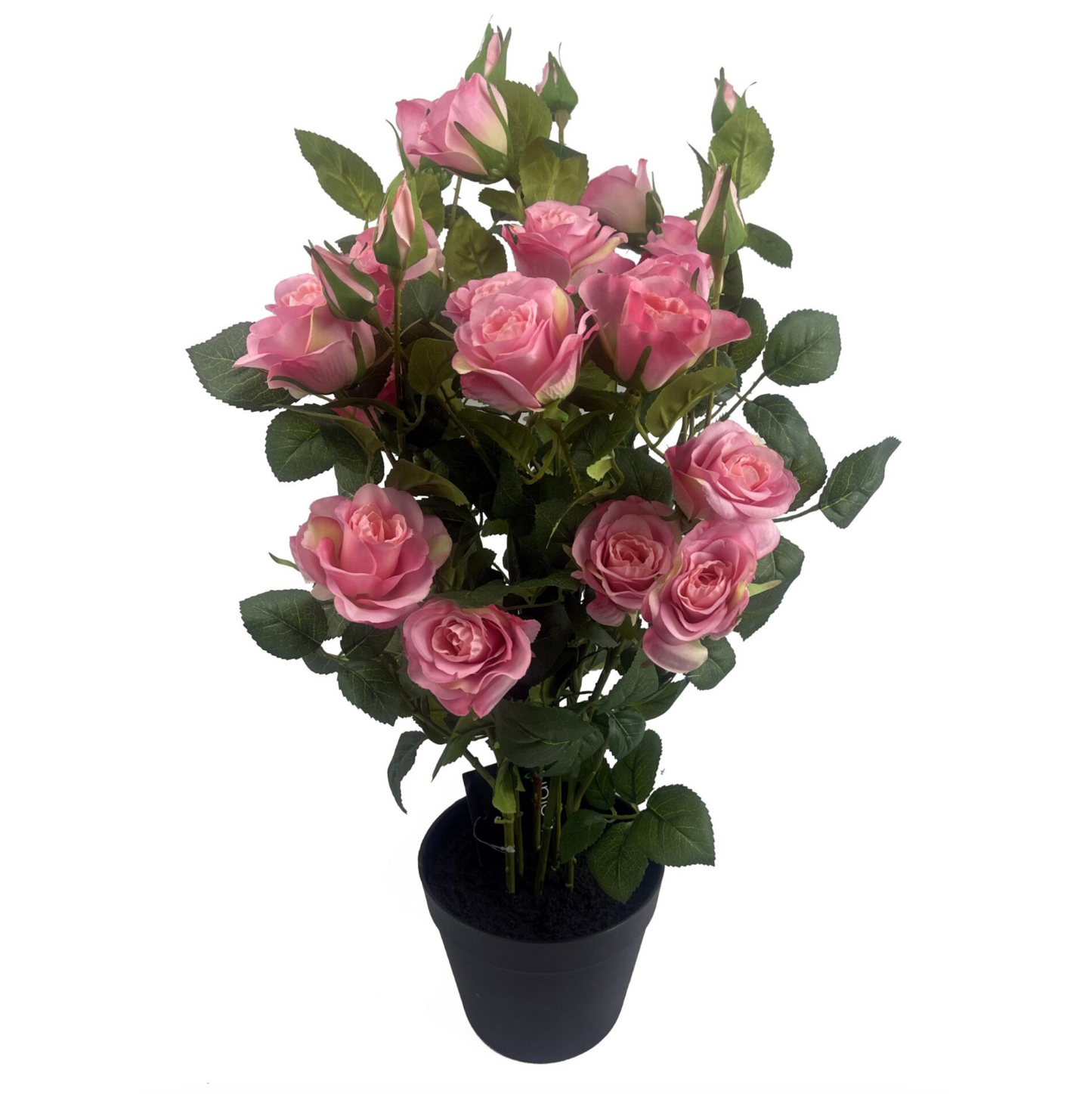 The Plantish artificial rose bush shown against a plain white background, highlighting the vibrant pink flowers and green leaves, in a plain black plastic pot. 
