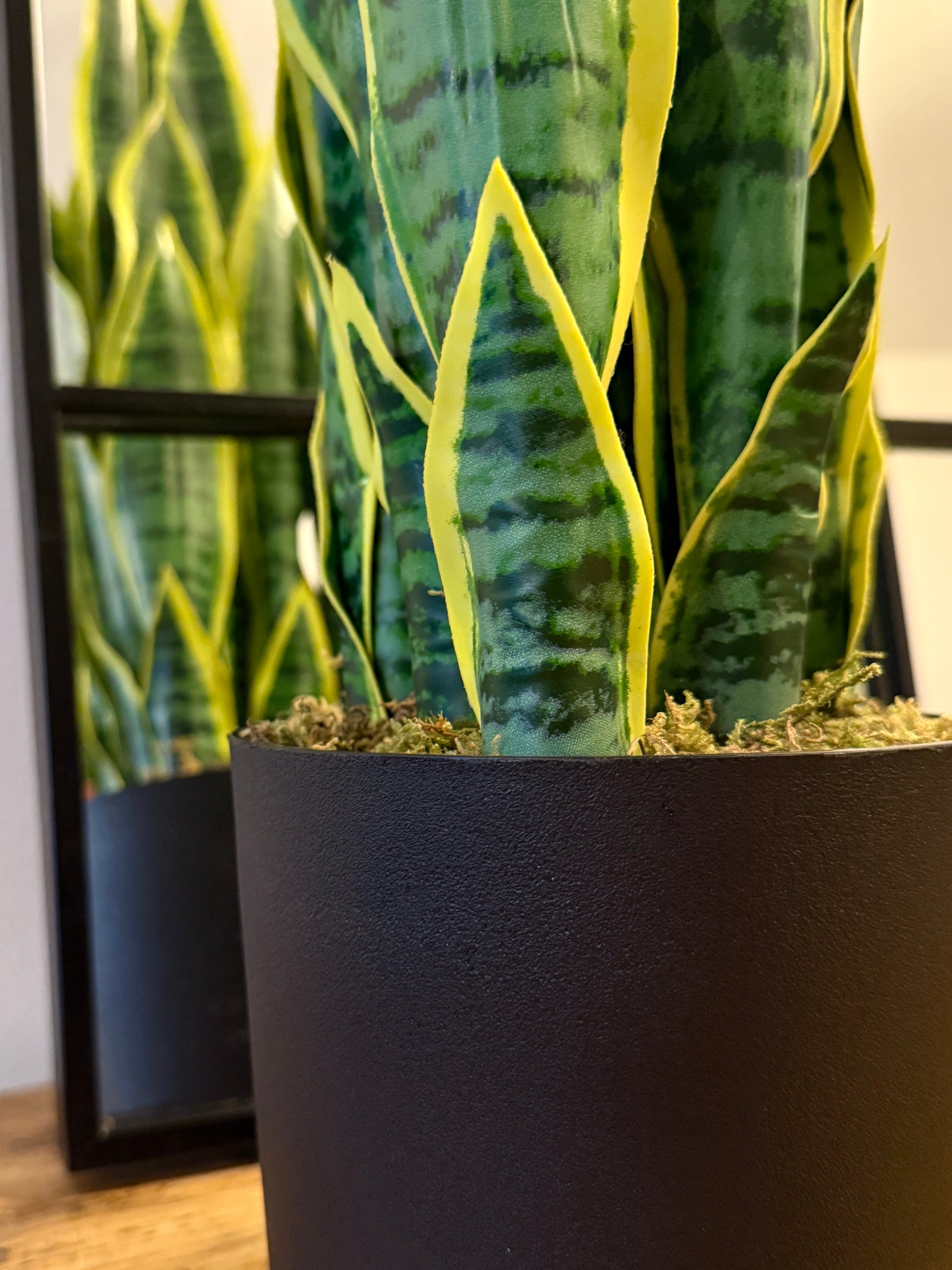 best artificial snake plant Sansa the Artificial Snake Plant – Plantish