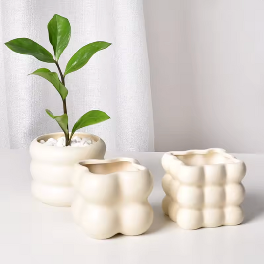 Little Bubble Plant Pot