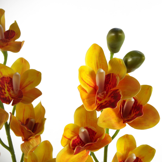 Cassie the Artificial Cymbidium Orchid