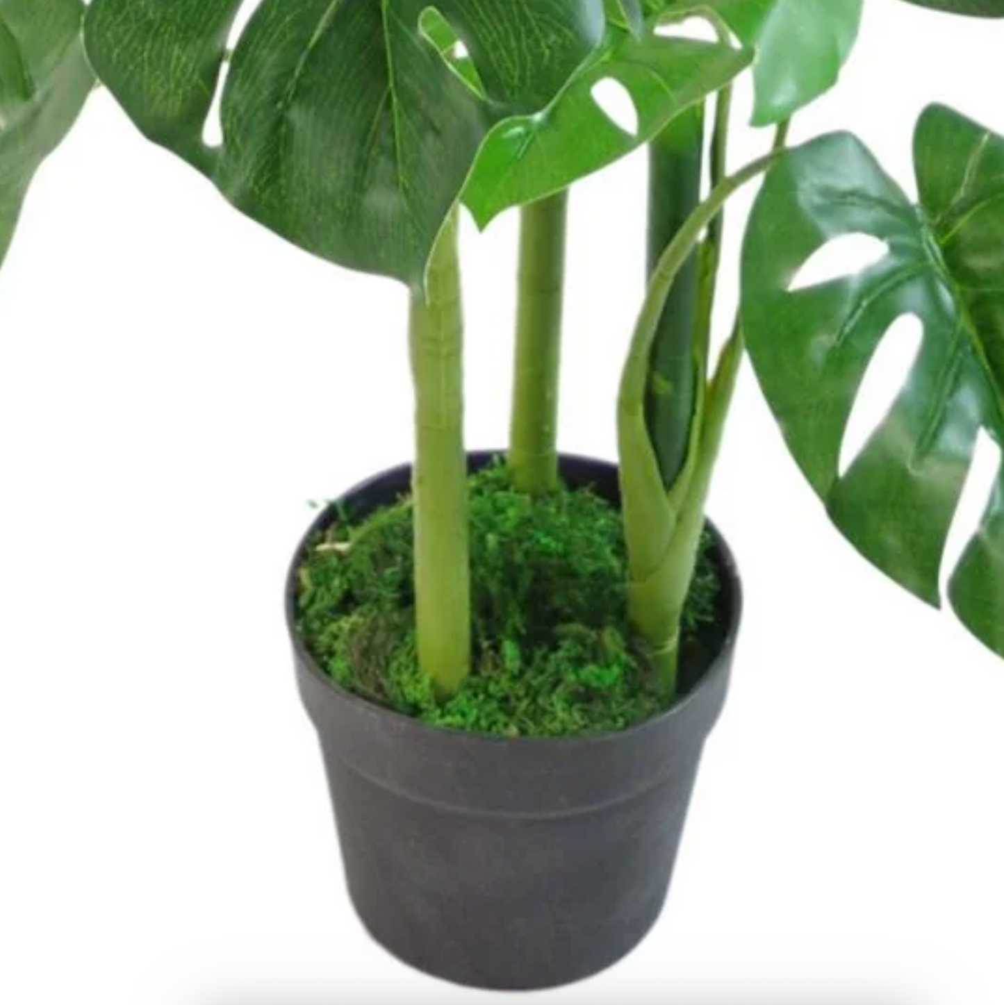 Millie the Artificial Monstera Tree