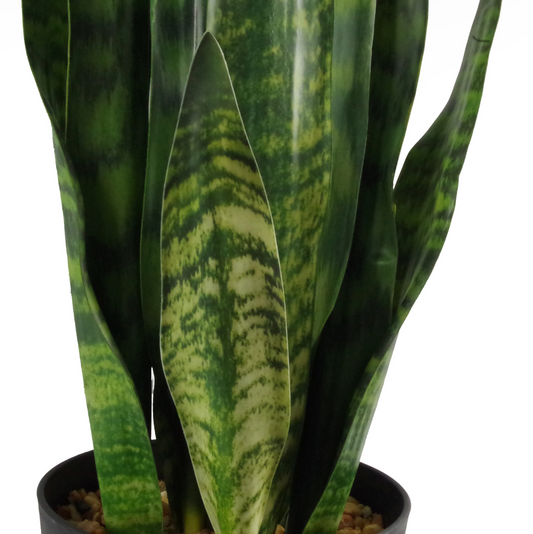Sara the Artificial Sansevieria
