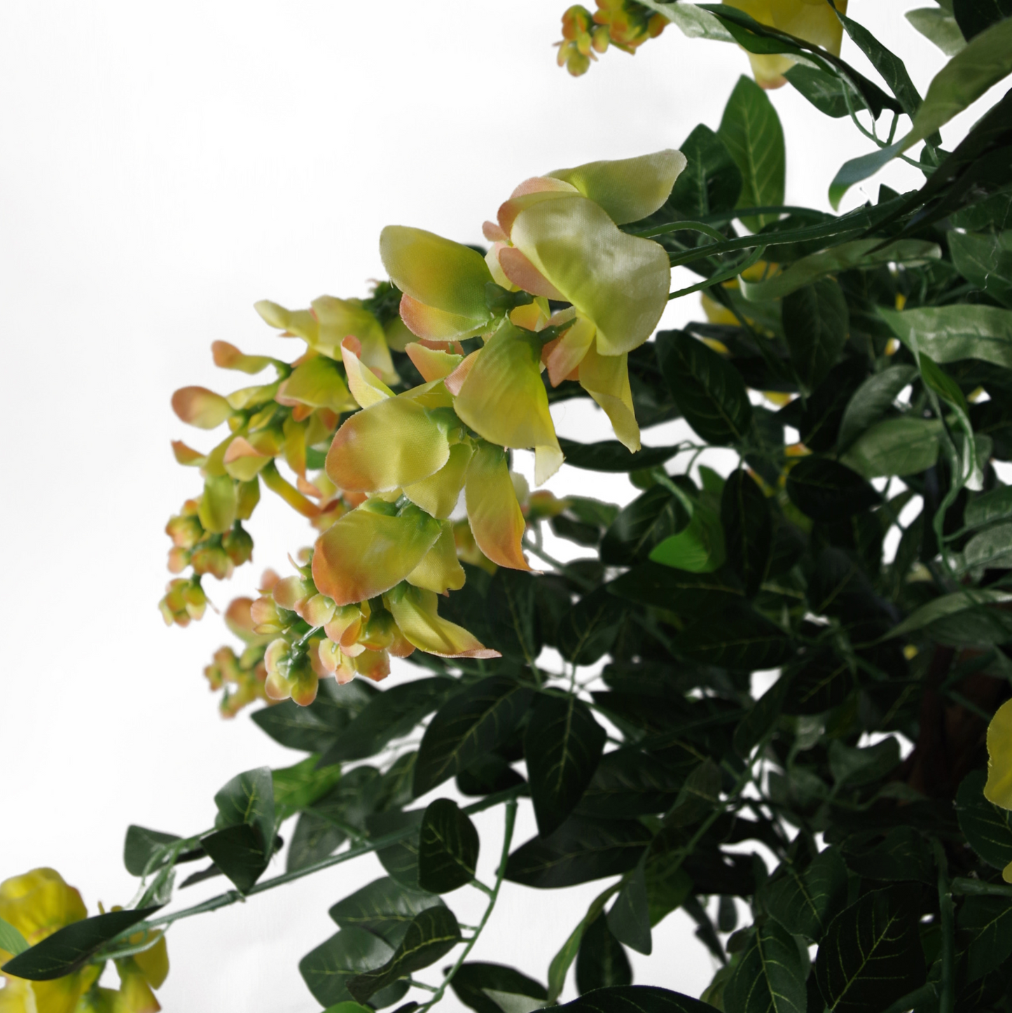 Winifred the Artificial Wisteria