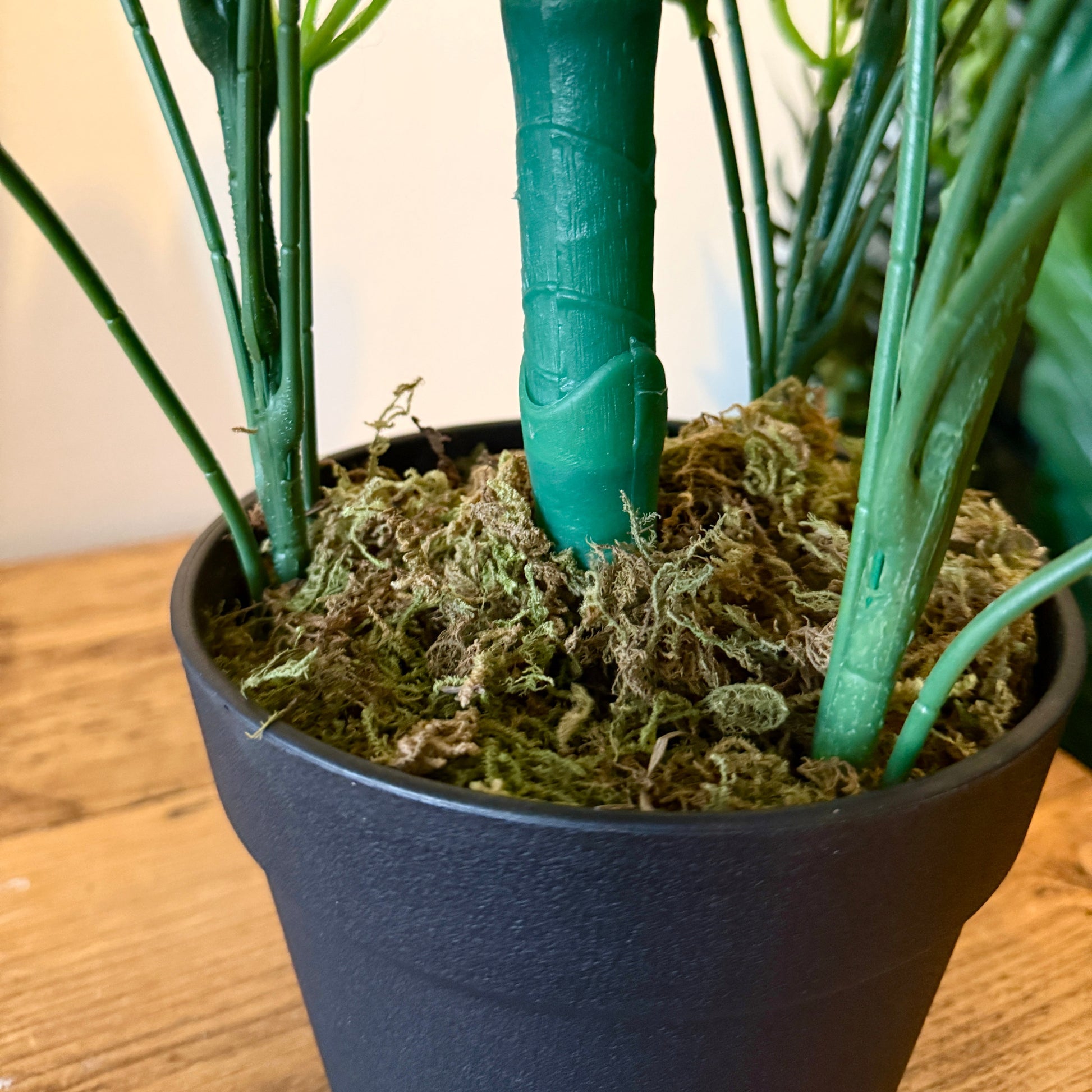 Close up of the Plantish artificial Schefflera in its black plastic pot, highlighting stems and the decorative moss.