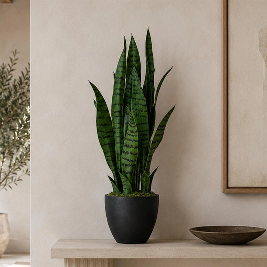 Steve the Artificial Dark Green Sansevieria