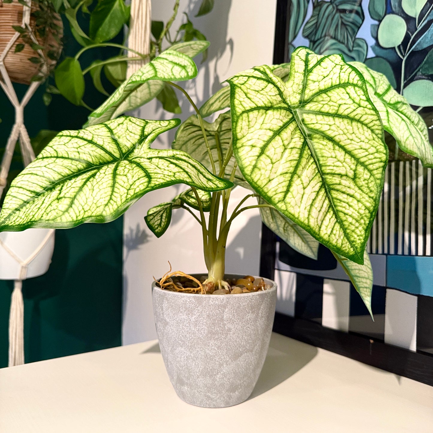 Front view of the Plantish artificial light green Taro with vibrant green leaves, potted in a grey plastic pot topped with decorative stones.