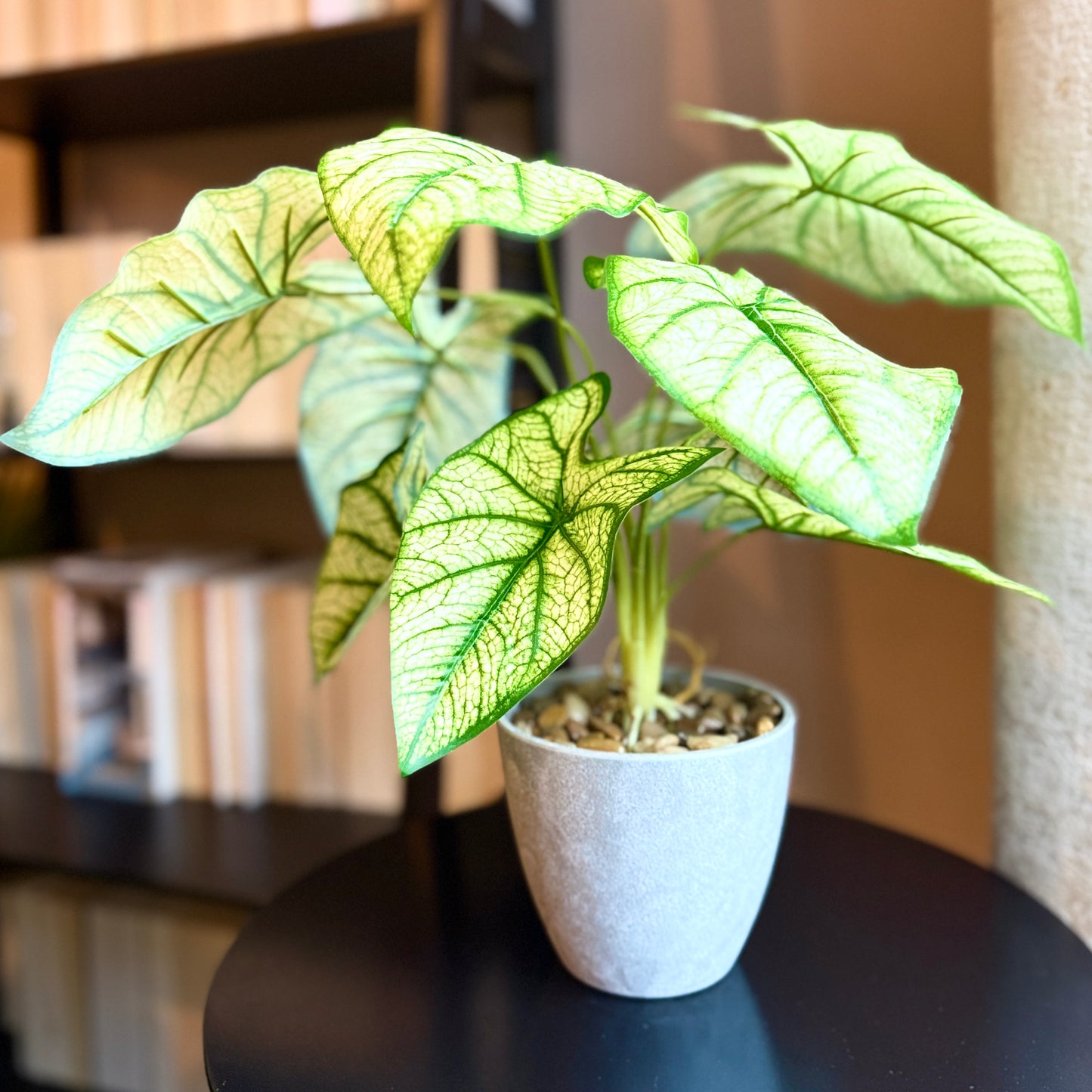 Sunny shot of the Plantish artificial light green Taro, highlighting its lush leaves grey plastic pot topped with decorative stones.