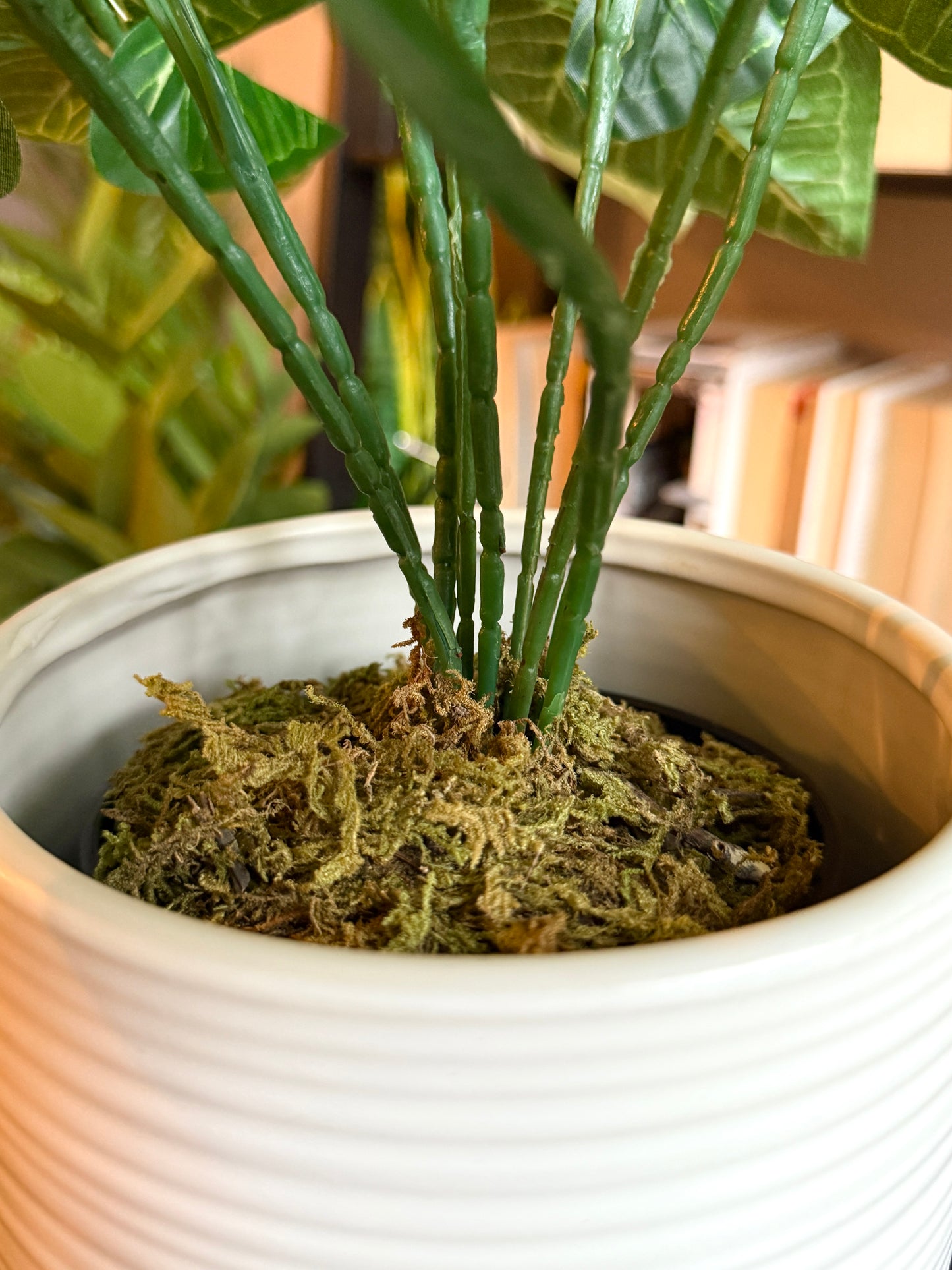 Close up of the base of the Plantish artificial dark green Taro, showcasing the base of the stems. The plant is in a white ceramic pot, and topped with moss.
