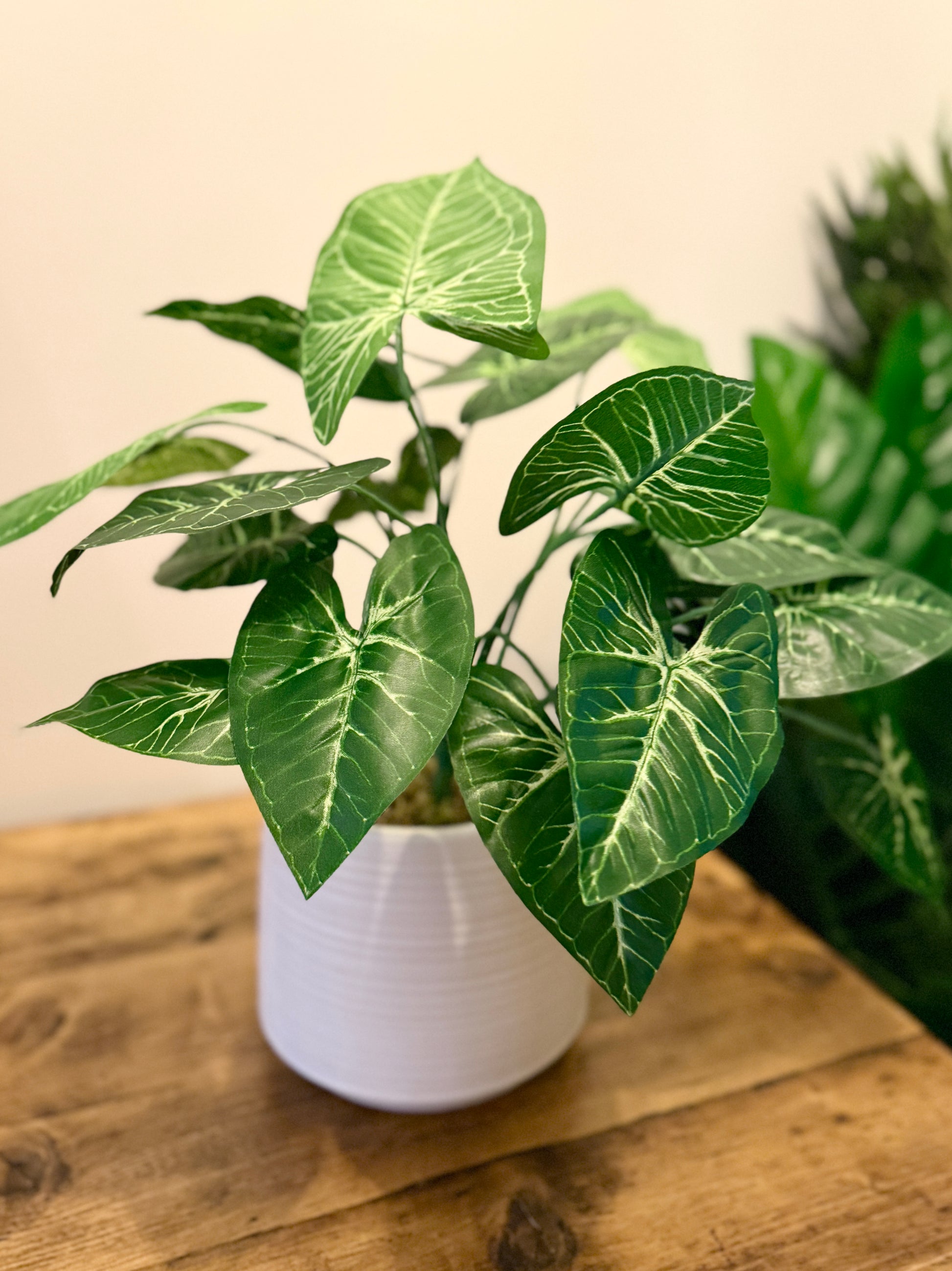 Front view of the Plantish artificial dark green Taro with large, realistic leaves and stems, potted in a decorative white ceramic pot.